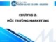 Bài giảng Nguyên lý marketing - Chương 2: Môi trường marketing