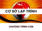 Bài giảng Cơ sở lập trình: Chương trình con