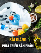 Bài giảng Phát triển sản phẩm - Chương 6