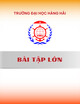 Bài tập lớn: Phân tích trạm biến áp 110kV quán trữ