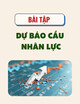 Bài tập Dự báo cầu nhân lực